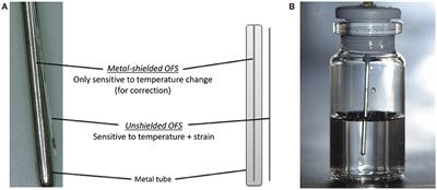 Detection of Collapse and Crystallization of Saccharide, Protein, and Mannitol Formulations by Optical Fibers in Lyophilization